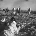 24 декабря 1943 года началась Днепровско-Карпатская операция