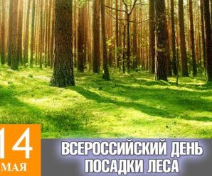 18 мая. Всероссийский день посадки леса
