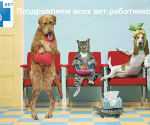 31 августа День ветеринарного работника России