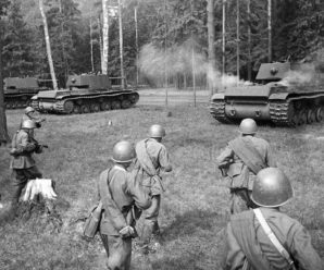 Кавказская Прохоровка: как разгромили дивизию СС «Викинг» в 1942 году