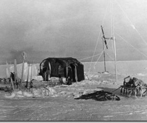 Научная станция «Северный полюс-1». Или как советские ученые делали открытия на дрейфующей льдине